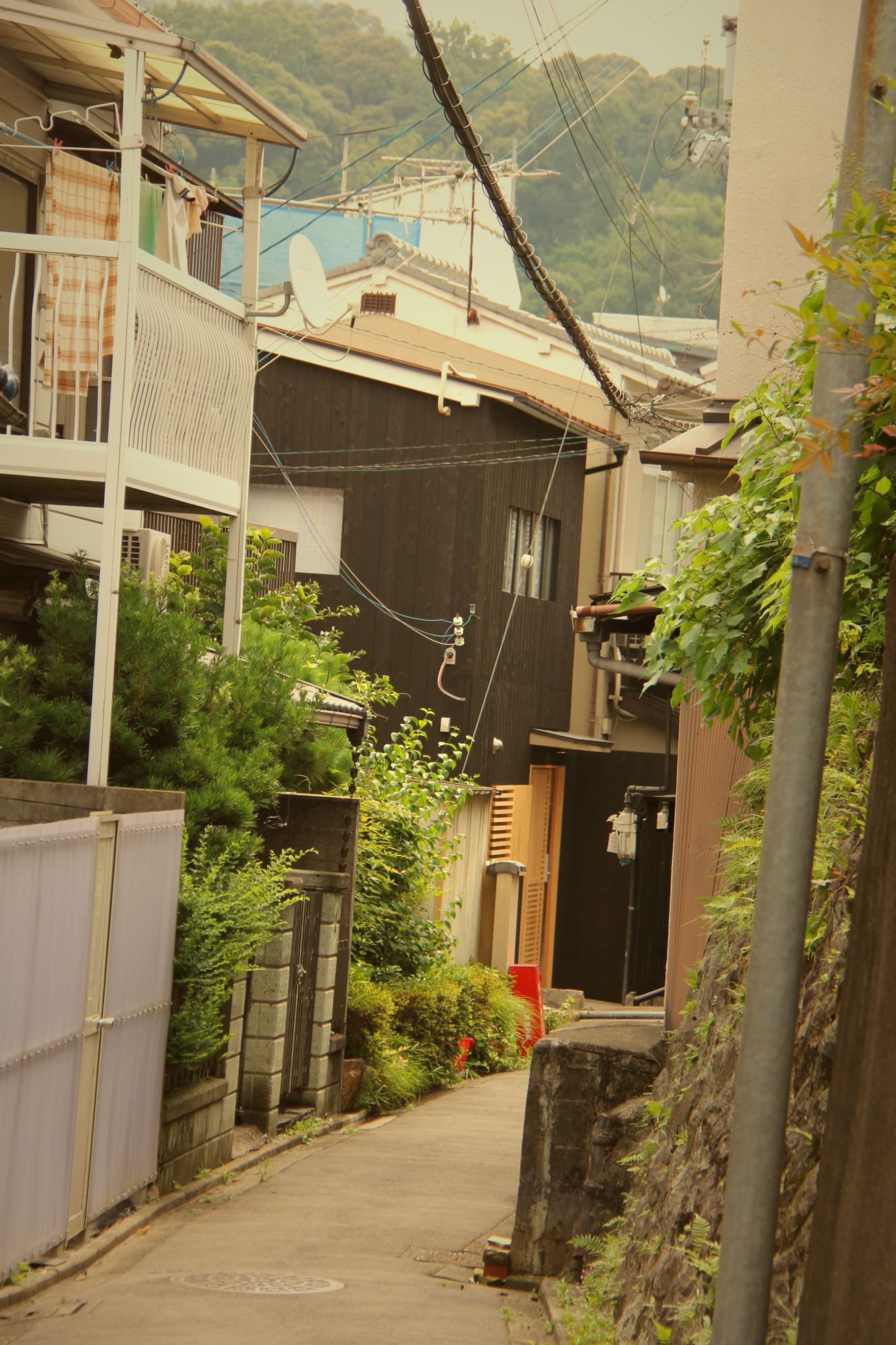 Green residential lane leading to Enso-an in Higashiyama, Kyoto